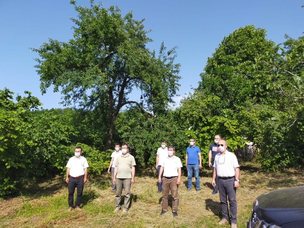 Ordu’da tüketilen Ordu’da üretilecek 