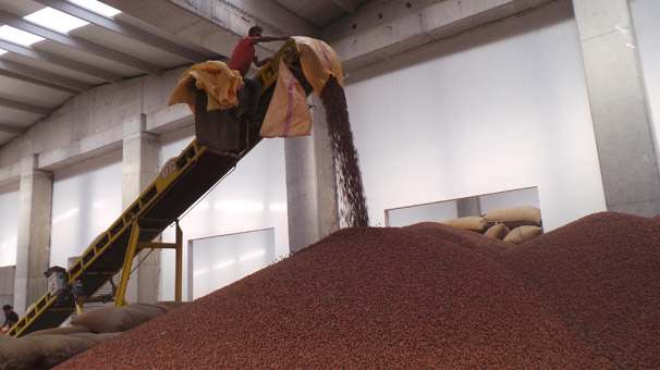 Ordu'da üreticiden 12 liraya alınan fındık işlenip, 60 liraya satılıyor