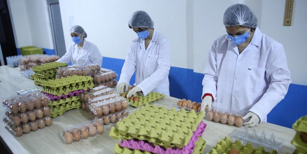 Ordu'da üretiliyor... BAE'ye ihraç edilecek!