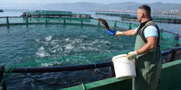 Ordu'da üretti ünü Japonya'ya ulaştı!