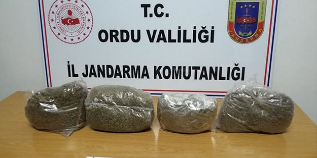 Ordu'da uyuşturucu operasyonu: 2 kg bonzai ele geçirildi