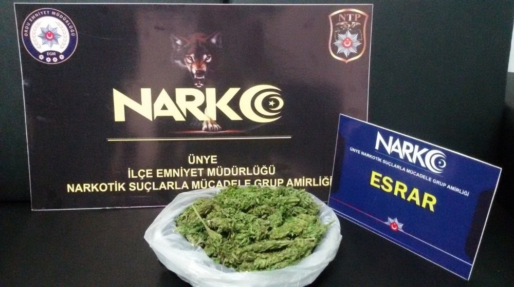 Ordu’da uyuşturucu satan 3 torbacı tutuklandı 