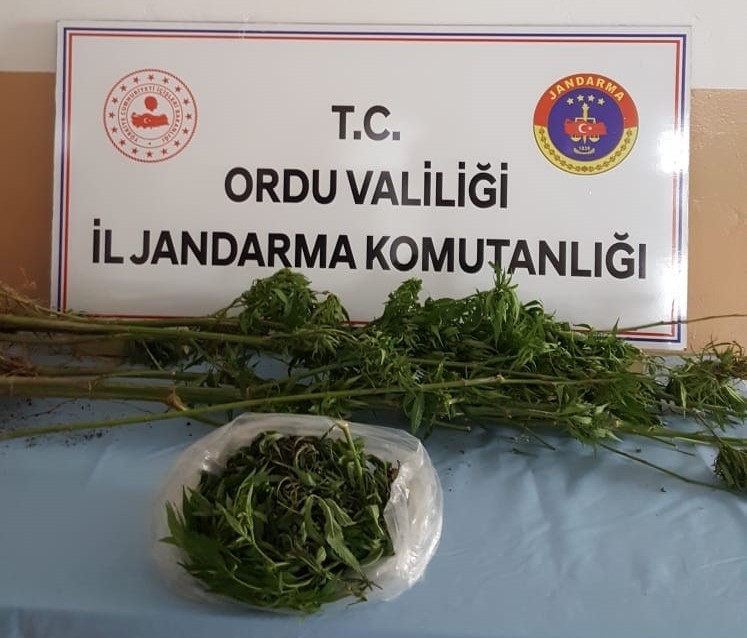 Ordu’da uyuşturucuya geçit yok 
