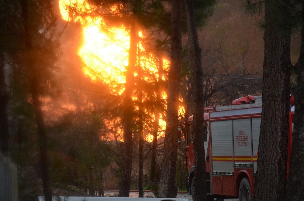 Ordu’daki doğal gaz patlaması 