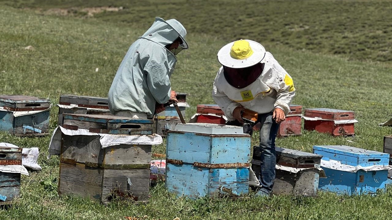 Ordu’dan Kars’a uzanan arıcılık hikayesi! Dedenin mirası, çocukların geleceği!