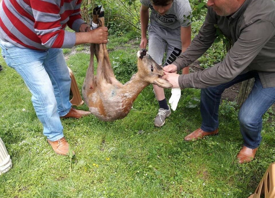 Ordulu avcılara 22 bin 488 lira ceza 