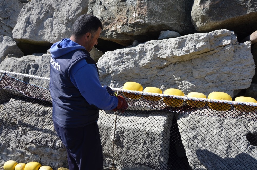 Ordulu balıkçılar sezonu değerlendirdi 