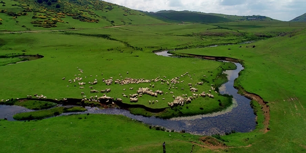 Ordu'nun doğa harikası: Perşembe yaylası