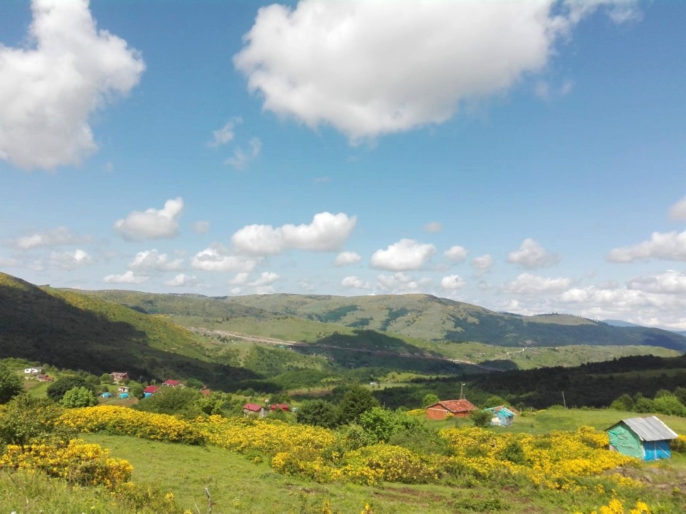 Ordu’nun yaylalarında kartpostallık görüntüler 