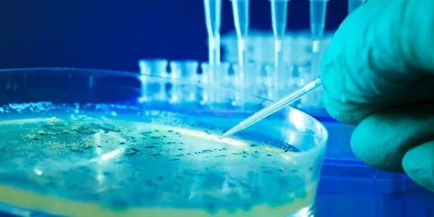 Oreo yiyenlere son dakika uyarısı: Oreo'da salmonella şüphesi! Salmonella nedir, nasıl bulaşır?