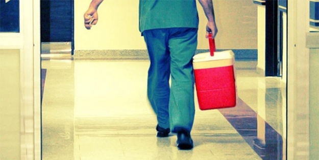 Organ nakli 3 hastayı yaşama bağladı!