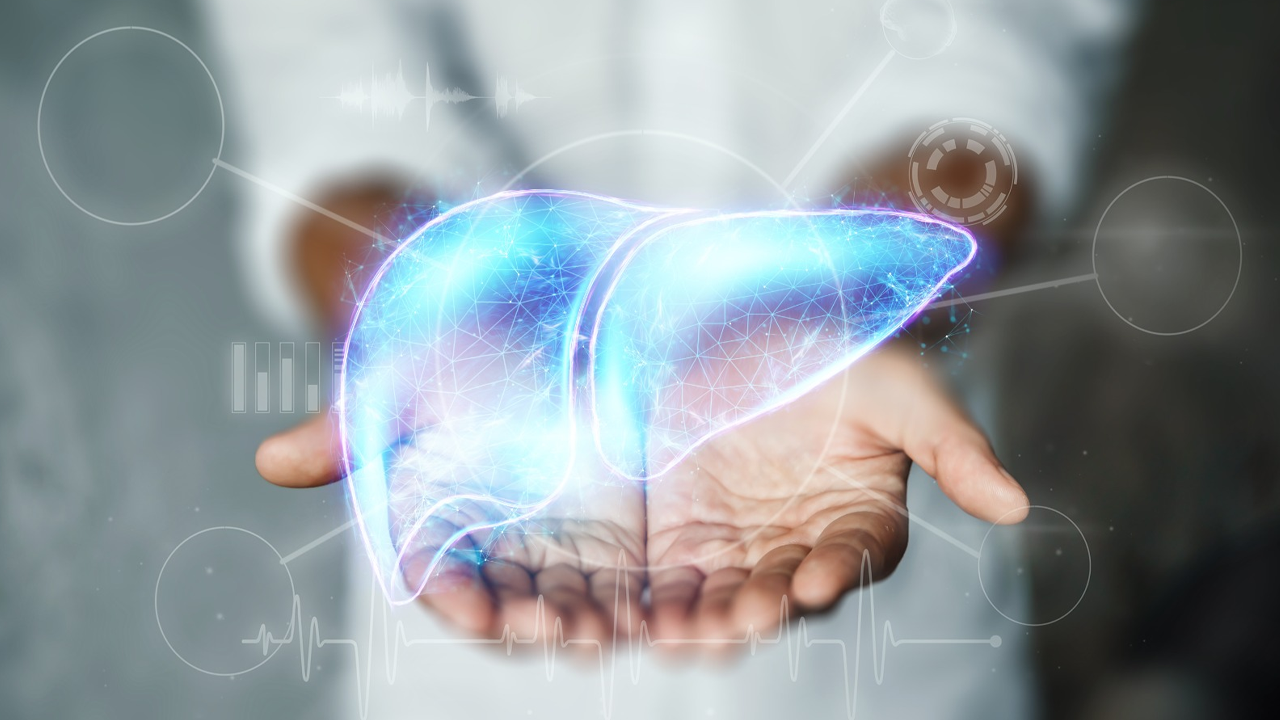 'Organ nakline müslümanca bakış'