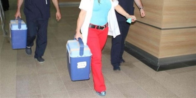 Organ tacirlerine ameliyattan önce operasyon