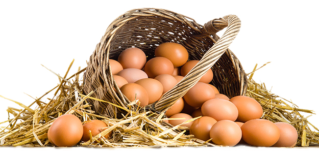 Organik dolandırıcılığa son!