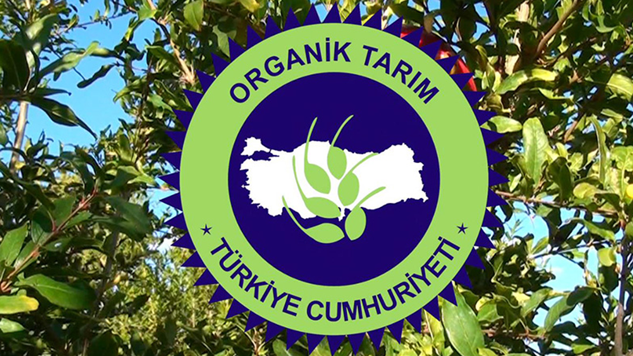 “Organik Sertifikalı” Ürünlerin Çoğu Aslında Organik Değil: Uzmanlar Devlet Müdahalesi Çağrısı Yapıyor