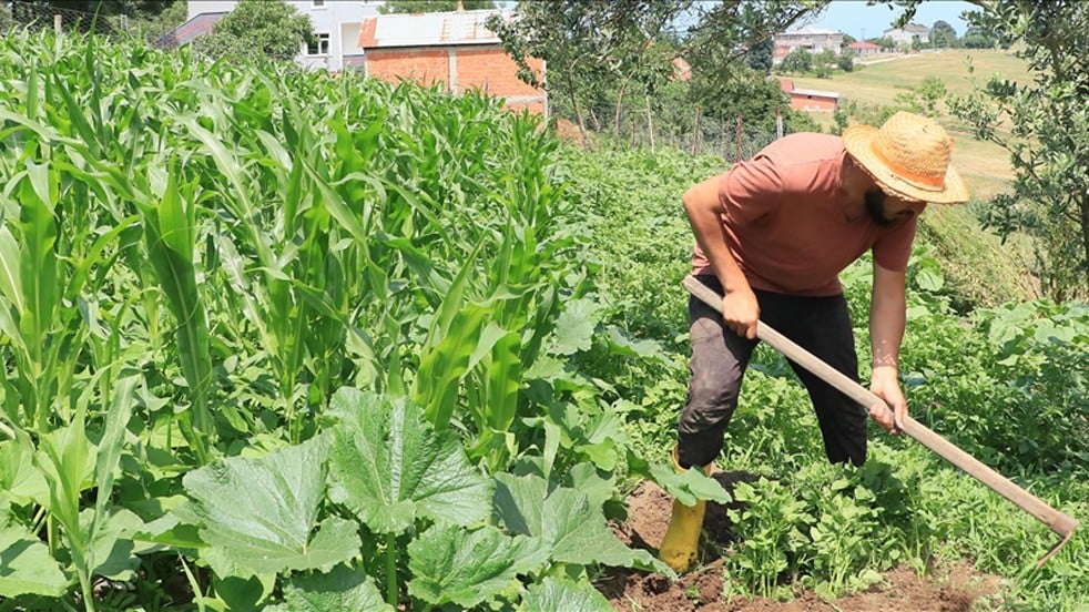 Organik tarım üretimi 4, iyi tarım uygulaması 109 kat arttı