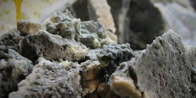  Organik yeşillenen vazgeçilmez lezzet: 