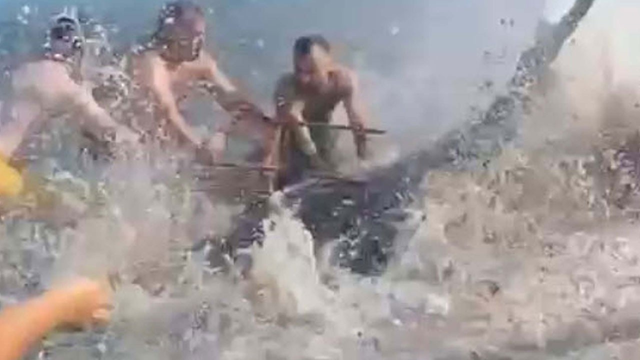 Orkinosa sandalyeli işkence! Çeşme’de pes dedirten görüntü