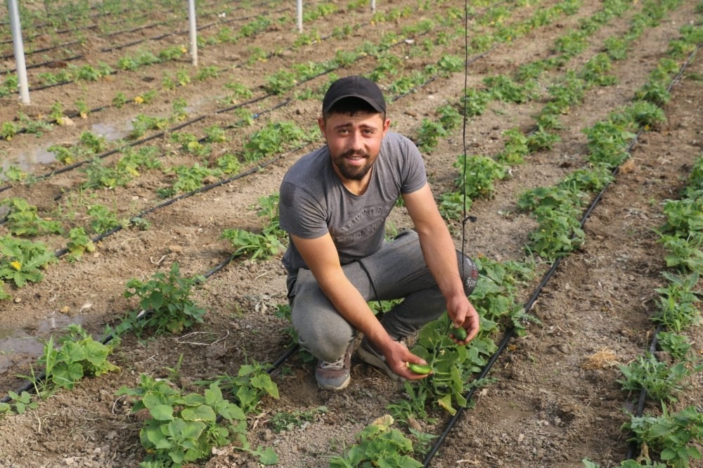 ORKÖY projesi kapsamında seracılık üretime devam 