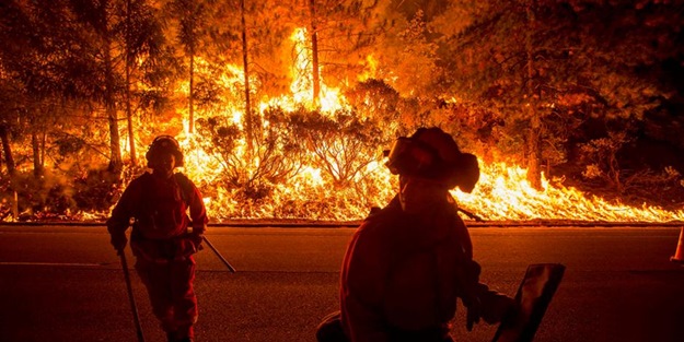 Orman bakanı yanlışıkla ormanı yaktı!