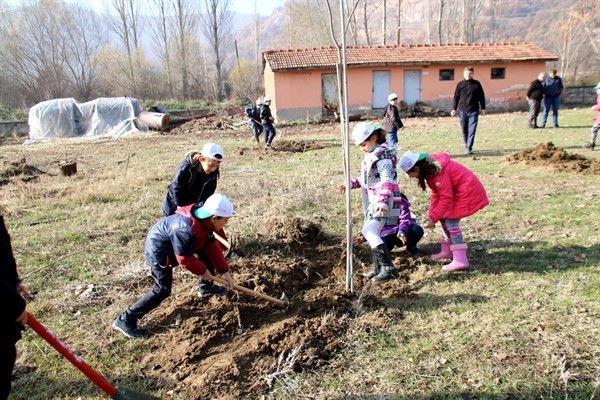 Orman Bölge Müdürlüğünden fidan dikim etkinlikleri 