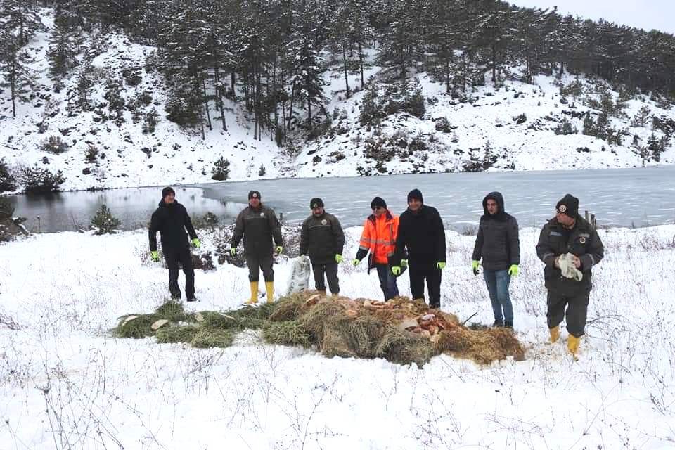 Orman Bölge Müdürlüğü’nden yaban hayvanlarını yemleme çalışması 