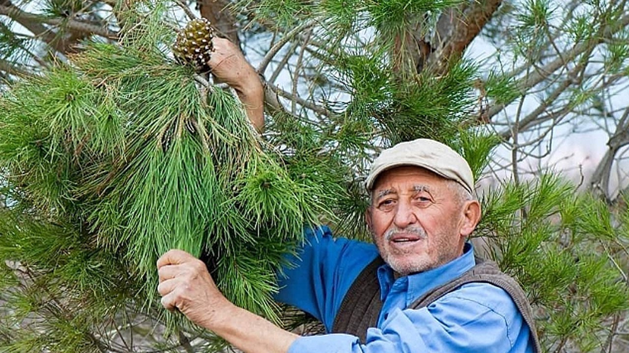 “Orman Dede” olarak tanınan Rahim Demirbaş vefat etti