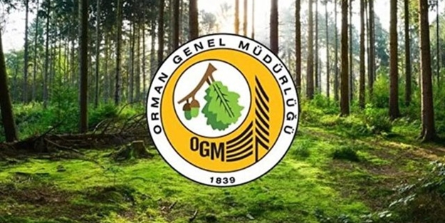 Orman Genel Müdürlüğüne personel alımı