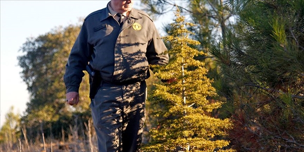 Orman Genel Müdürlüğü'ne sözleşmeli personel alımı