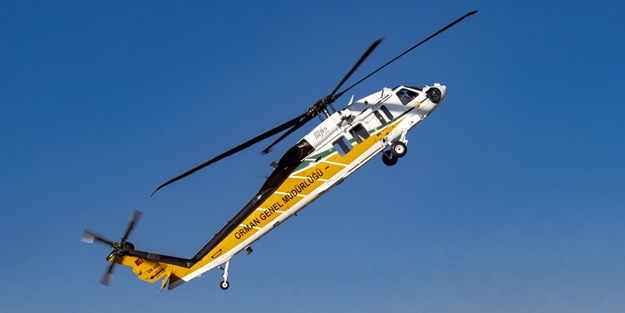 Orman Genel Müdürlüğü'ne 