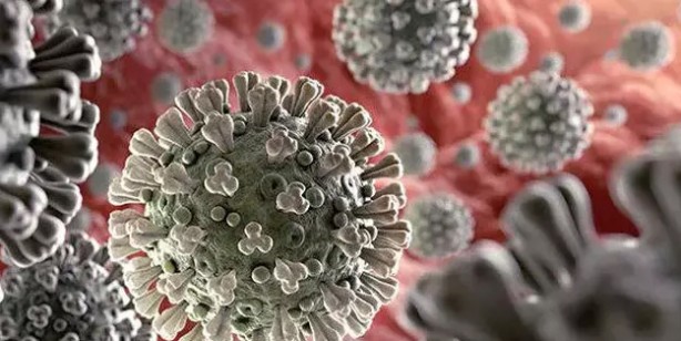 Orman içinde keşfedilen dev virüsler, böylesi daha önce hiç görülmedi! Bilim insanlarını hayrete düşürdü!