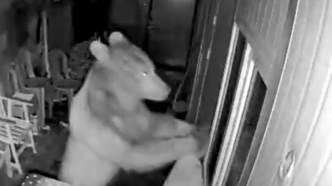 Orman işçilerine gece sürprizi!