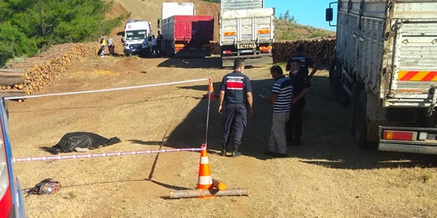 Orman işçisinin feci ölümü