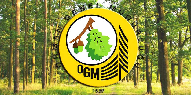 Orman işletmesi işçi mi alıyor? OGM alımları ne zaman?