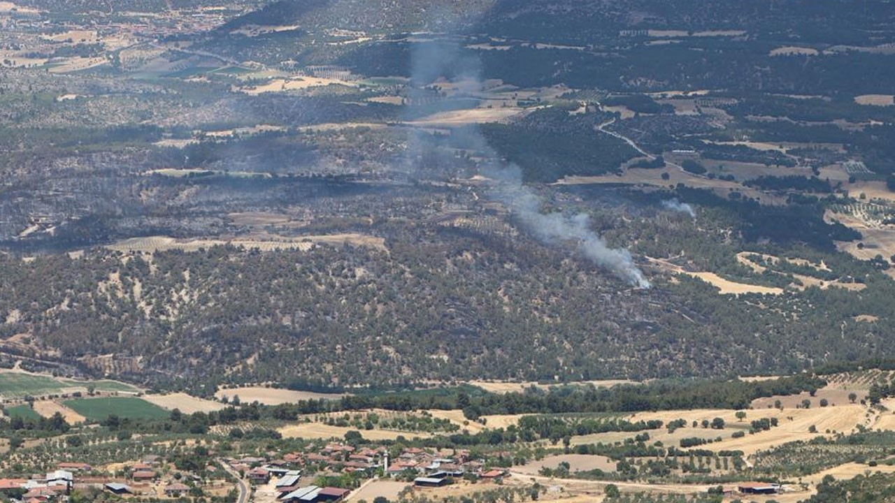 Orman kahramanlar Kula'da görevde