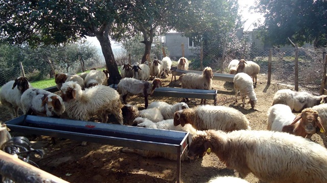 Orman köylülerine 13 milyon TL hibe