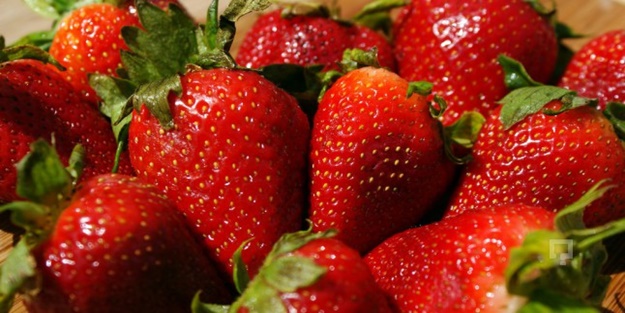 Orman köylüsü 65 yaşındaki kadın, devlet desteğiyle çilek üretiyor