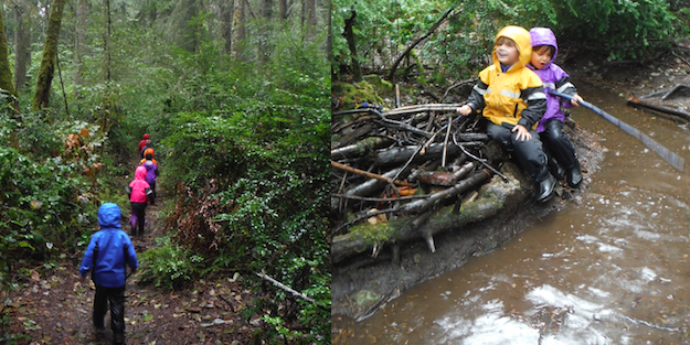 Orman okullarına hayran kalacaksınız!
