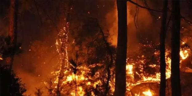 Orman yakan PKK’lı koğuşu da ateşe verdi