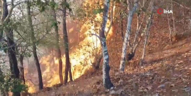 Orman yangını can aldı!