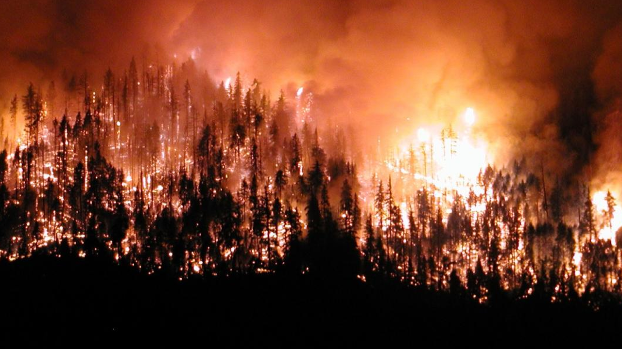 Orman yangını çıkaranlara komik ceza!