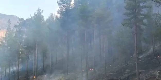 Orman yangını kontrol altına alındı