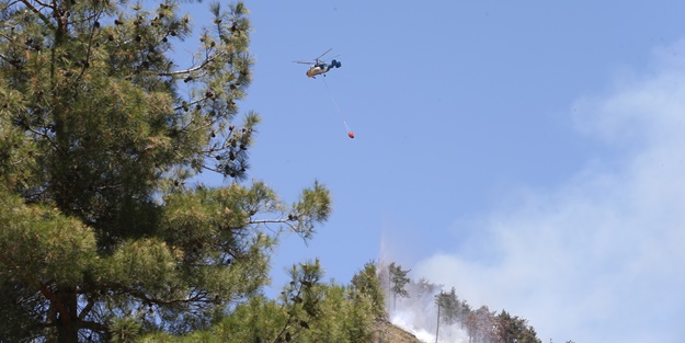 Orman yangını kontrol altına alındı