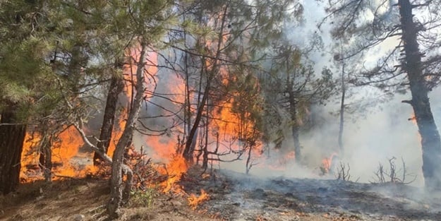 Orman yangını kontrol altına alındı