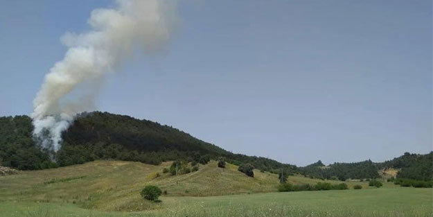 Orman yangını korkuttu!