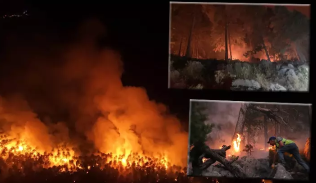 Orman yangını nedeniyle 3 mahalle tahliye edildi