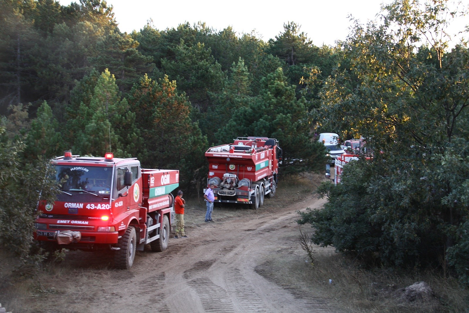 Orman yangını söndürüldü