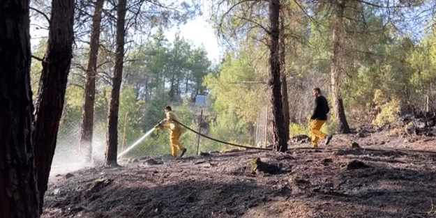 Orman yangını söndürüldü