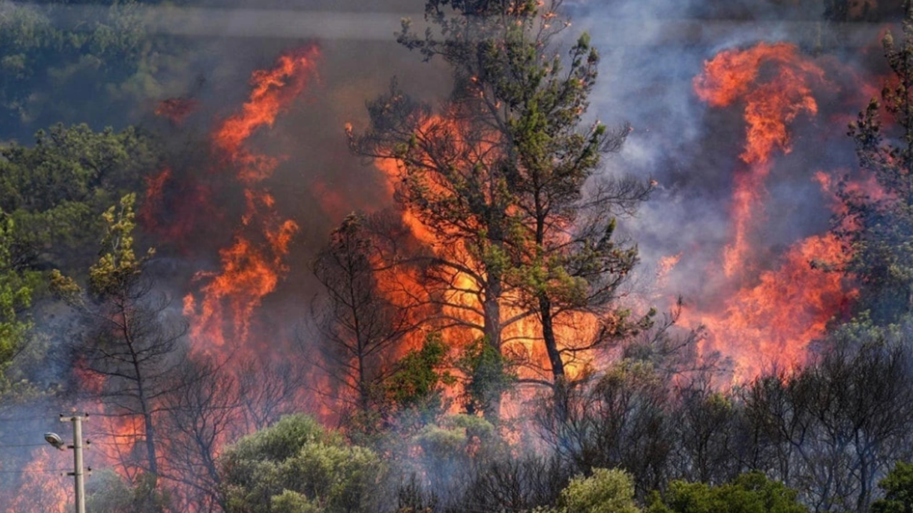 Orman yangını uyarısı: Risk Ekim ayına kadar...