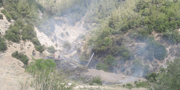 Orman yangını vatandaşlarla birlikte söndürüldü